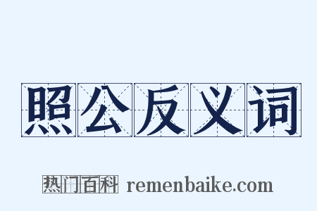 照公反义词是什么意思的图片